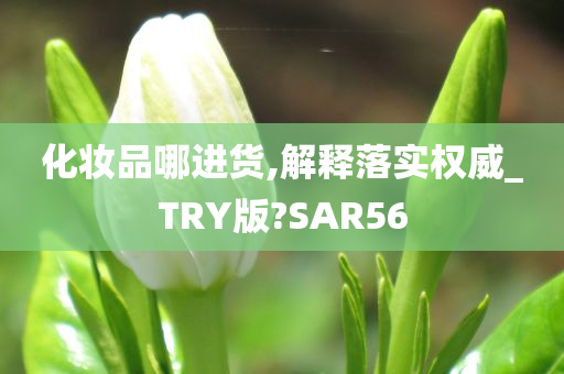 化妆品哪进货,解释落实权威_TRY版?SAR56