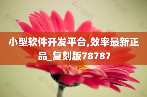 小型软件开发平台,效率最新正品_复刻版78787