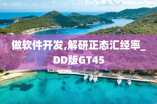 做软件开发,解研正态汇经率_DD版GT45