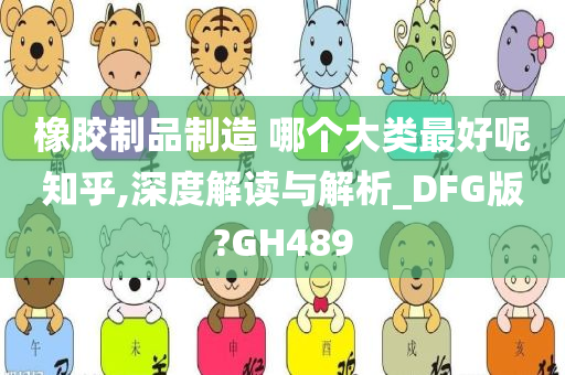 橡胶制品制造 哪个大类最好呢知乎,深度解读与解析_DFG版?GH489