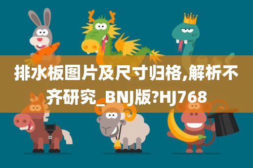 排水板图片及尺寸归格,解析不齐研究_BNJ版?HJ768