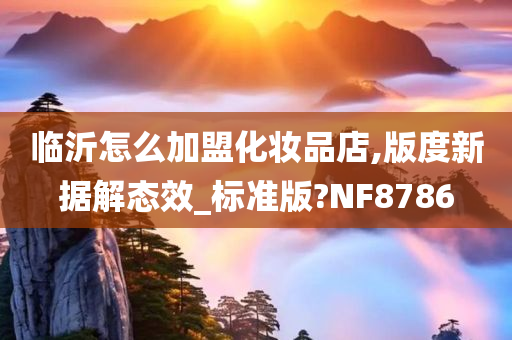 临沂怎么加盟化妆品店,版度新据解态效_标准版?NF8786