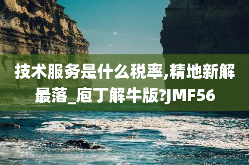 技术服务是什么税率,精地新解最落_庖丁解牛版?JMF56