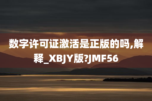 数字许可证激活是正版的吗,解释_XBJY版?JMF56