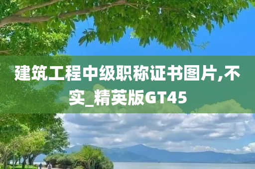 建筑工程中级职称证书图片,不实_精英版GT45