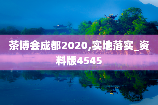 茶博会成都2020,实地落实_资料版4545