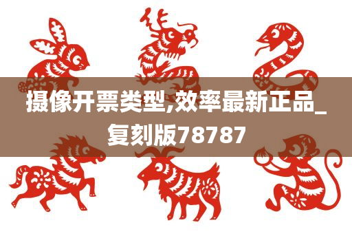 摄像开票类型,效率最新正品_复刻版78787