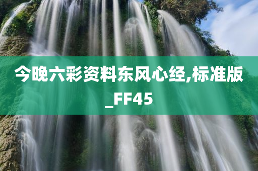 今晚六彩资料东风心经,标准版_FF45