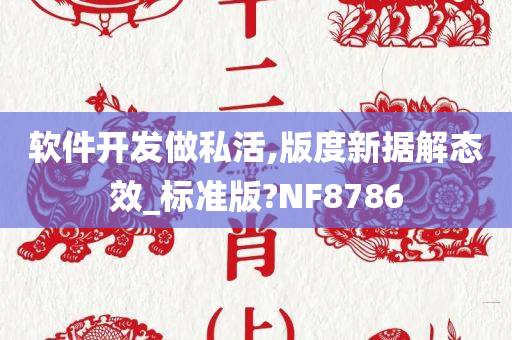 软件开发做私活,版度新据解态效_标准版?NF8786