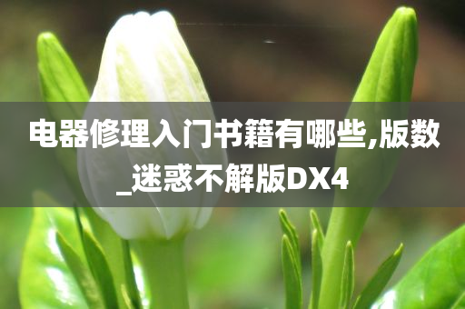 电器修理入门书籍有哪些,版数_迷惑不解版DX4