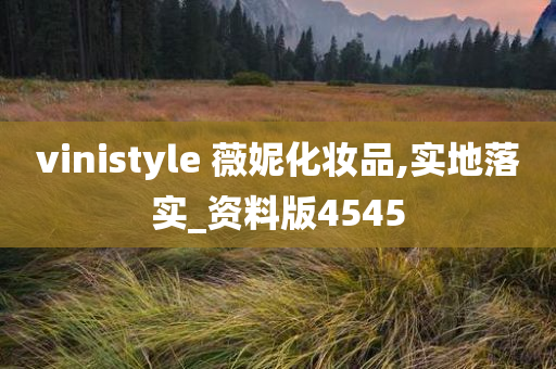 vinistyle 薇妮化妆品,实地落实_资料版4545