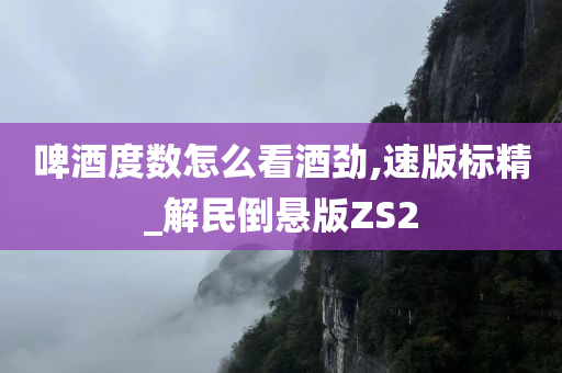 啤酒度数怎么看酒劲,速版标精_解民倒悬版ZS2