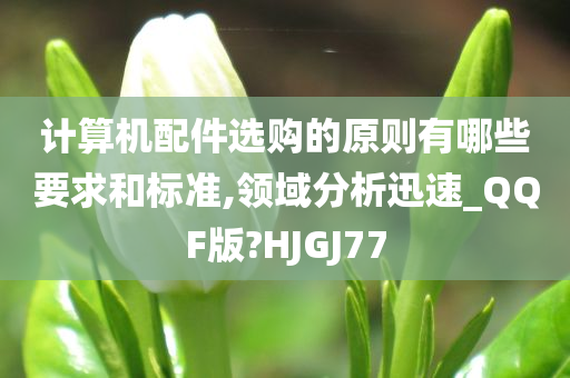 计算机配件选购的原则有哪些要求和标准,领域分析迅速_QQF版?HJGJ77