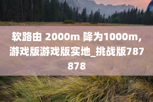 软路由 2000m 降为1000m,游戏版游戏版实地_挑战版787878