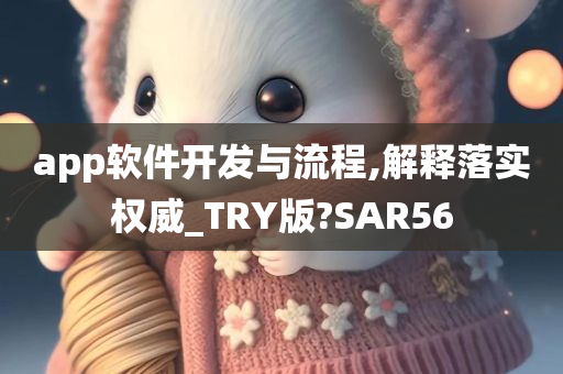 app软件开发与流程,解释落实权威_TRY版?SAR56