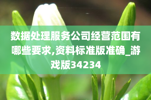 数据处理服务公司经营范围有哪些要求,资料标准版准确_游戏版34234