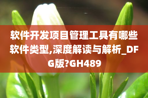 软件开发项目管理工具有哪些软件类型,深度解读与解析_DFG版?GH489