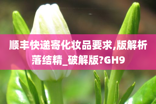 顺丰快递寄化妆品要求,版解析落结精_破解版?GH9