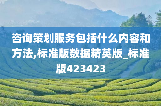 咨询策划服务包括什么内容和方法,标准版数据精英版_标准版423423