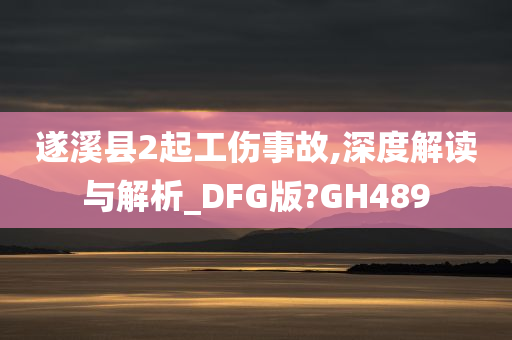 遂溪县2起工伤事故,深度解读与解析_DFG版?GH489