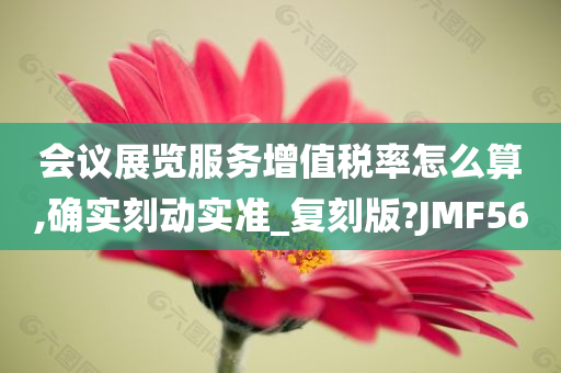 会议展览服务增值税率怎么算,确实刻动实准_复刻版?JMF56