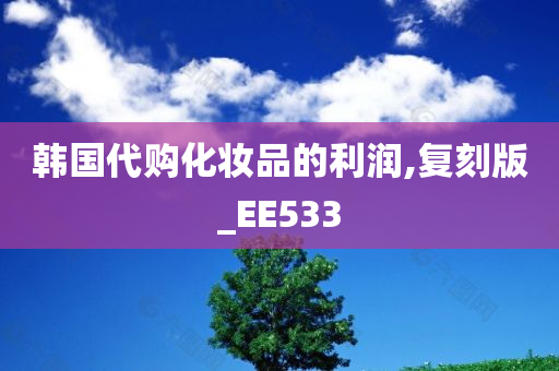 韩国代购化妆品的利润,复刻版_EE533