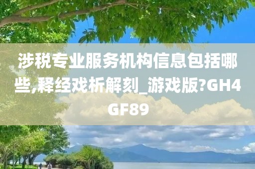 涉税专业服务机构信息包括哪些,释经戏析解刻_游戏版?GH4GF89