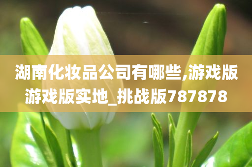 湖南化妆品公司有哪些,游戏版游戏版实地_挑战版787878