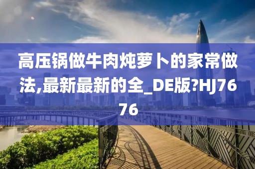 高压锅做牛肉炖萝卜的家常做法,最新最新的全_DE版?HJ7676