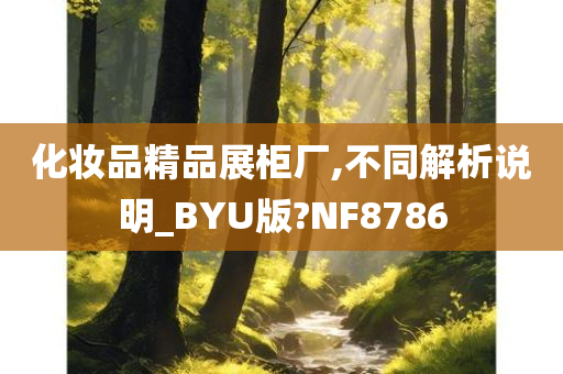 化妆品精品展柜厂,不同解析说明_BYU版?NF8786