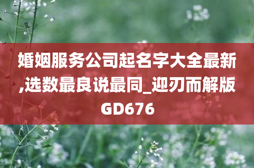 婚姻服务公司起名字大全最新,选数最良说最同_迎刃而解版GD676