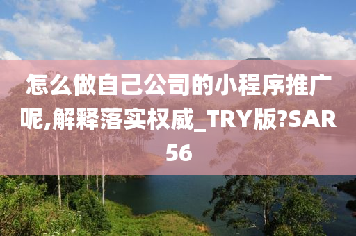 怎么做自己公司的小程序推广呢,解释落实权威_TRY版?SAR56