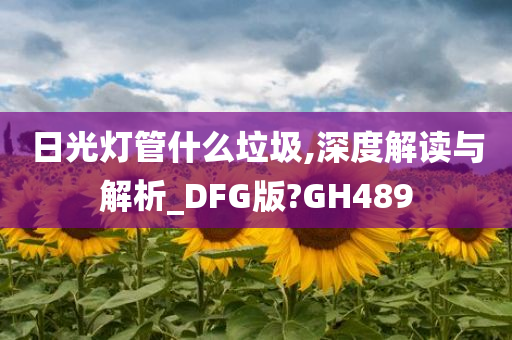 日光灯管什么垃圾,深度解读与解析_DFG版?GH489