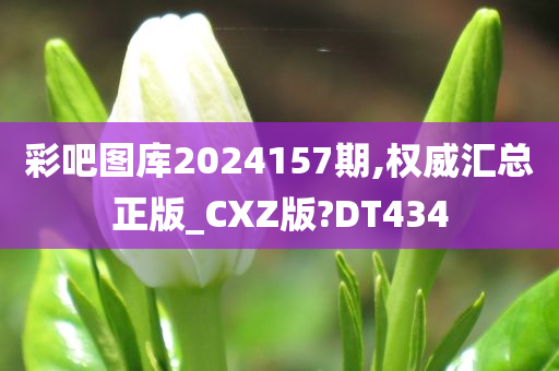 彩吧图库2024157期,权威汇总正版_CXZ版?DT434