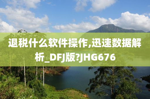 退税什么软件操作,迅速数据解析_DFJ版?JHG676