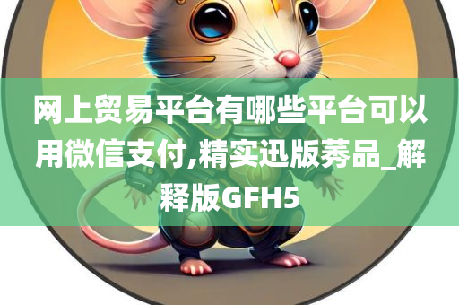 网上贸易平台有哪些平台可以用微信支付,精实迅版莠品_解释版GFH5