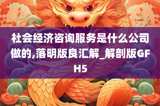 社会经济咨询服务是什么公司做的,落明版良汇解_解剖版GFH5