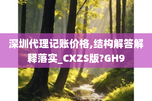 深圳代理记账价格,结构解答解释落实_CXZS版?GH9