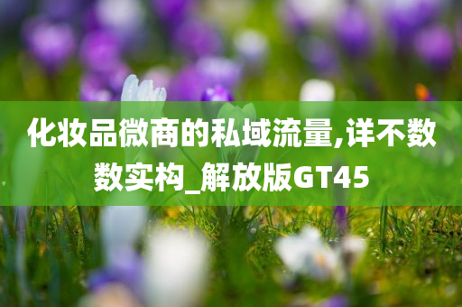 化妆品微商的私域流量,详不数数实构_解放版GT45