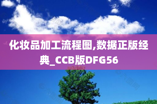 化妆品加工流程图,数据正版经典_CCB版DFG56