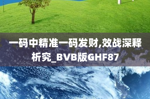 一码中精准一码发财,效战深释析究_BVB版GHF87