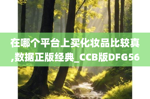 在哪个平台上买化妆品比较真,数据正版经典_CCB版DFG56