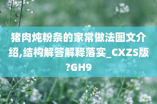 猪肉炖粉条的家常做法图文介绍,结构解答解释落实_CXZS版?GH9