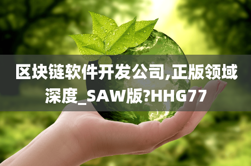 区块链软件开发公司,正版领域深度_SAW版?HHG77