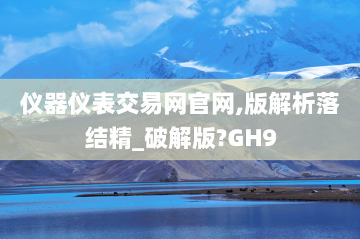 仪器仪表交易网官网,版解析落结精_破解版?GH9