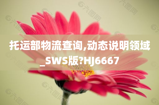 托运部物流查询,动态说明领域_SWS版?HJ6667