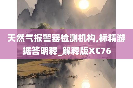 天然气报警器检测机构,标精游据答明释_解释版XC76