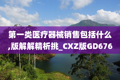 第一类医疗器械销售包括什么,版解解精析挑_CXZ版GD676