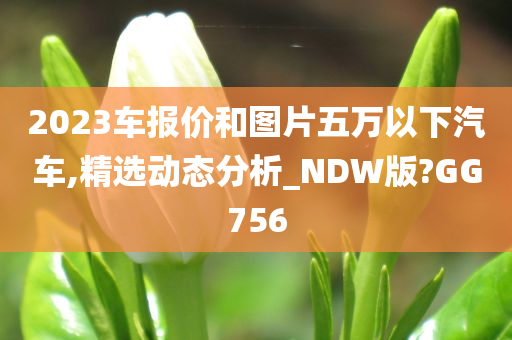 2023车报价和图片五万以下汽车,精选动态分析_NDW版?GG756