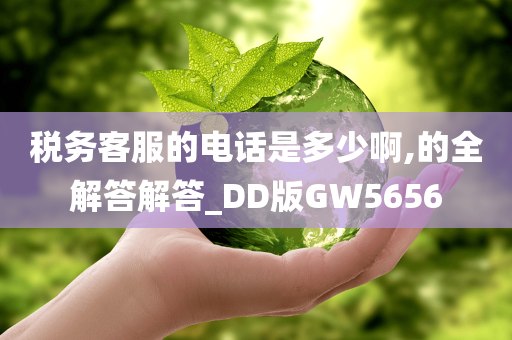 税务客服的电话是多少啊,的全解答解答_DD版GW5656